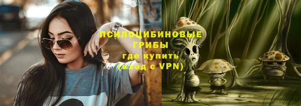 молекула духа Лиски