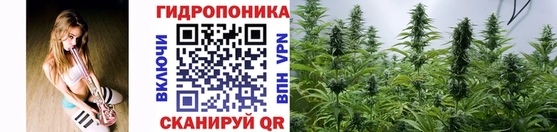 Купить где  Рассказово  Шишки марихуана Bruce Banner 